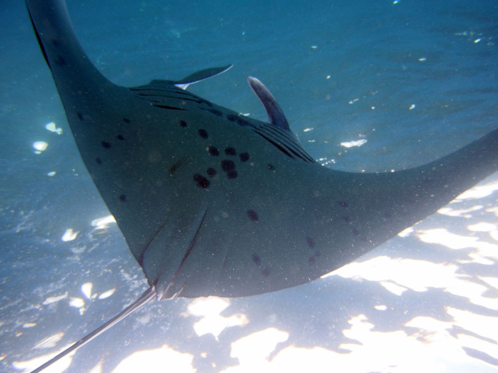 d313747b-ce22-49f2-83cb-2118a9ab10d1