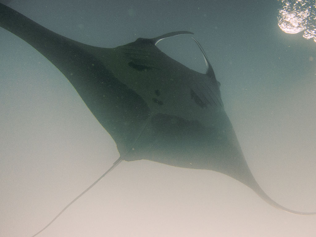 0ab477f8-fa01-4ef7-97c0-643a859104a5