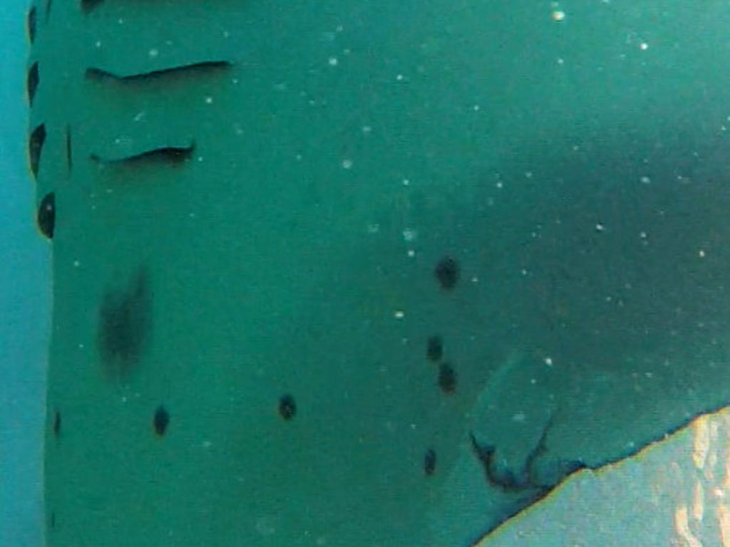 a61b5982-e37a-4a0e-a18b-40737045ea45