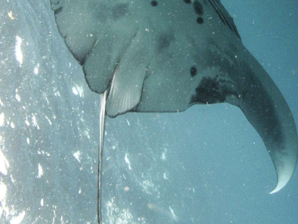 8e3aae23-b895-4570-a4d7-f935fcd95a0d