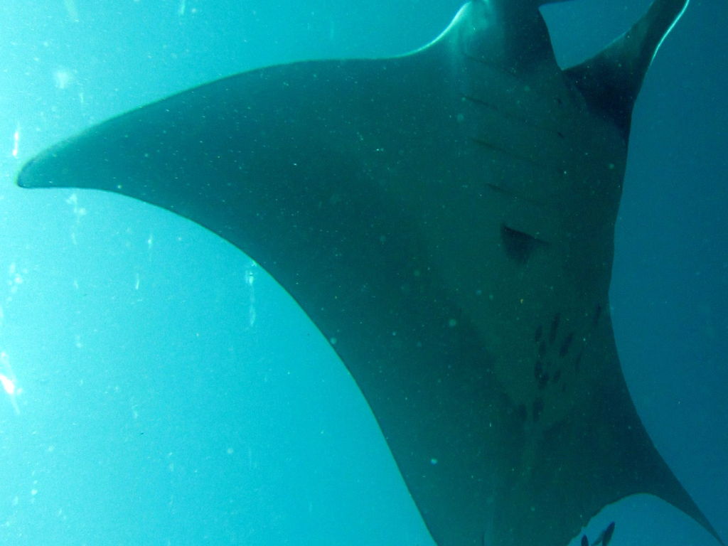 aa0c131b-0c91-4e69-97a9-bc5cad422d7d