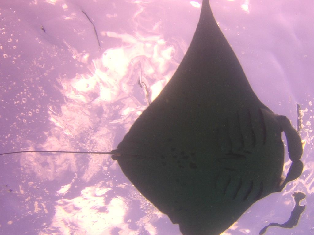 65aaa2d2-c7ed-436e-9891-2e423b8a2b53