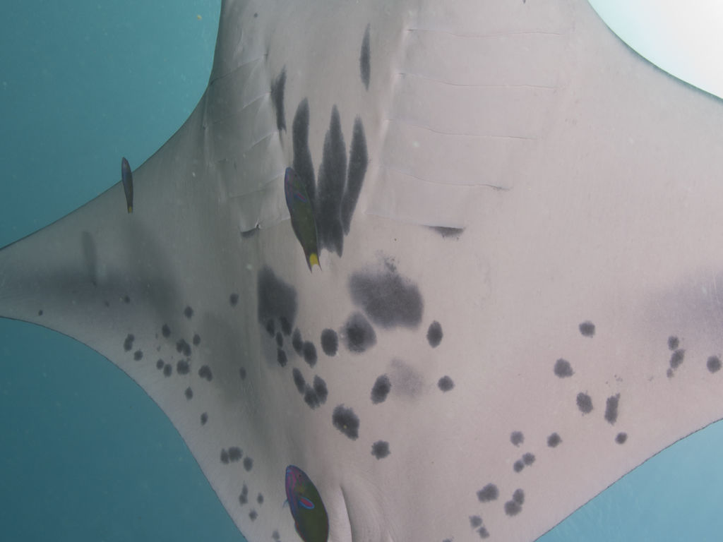 31071435-9020-4a71-a9b6-8afbac1a5a67