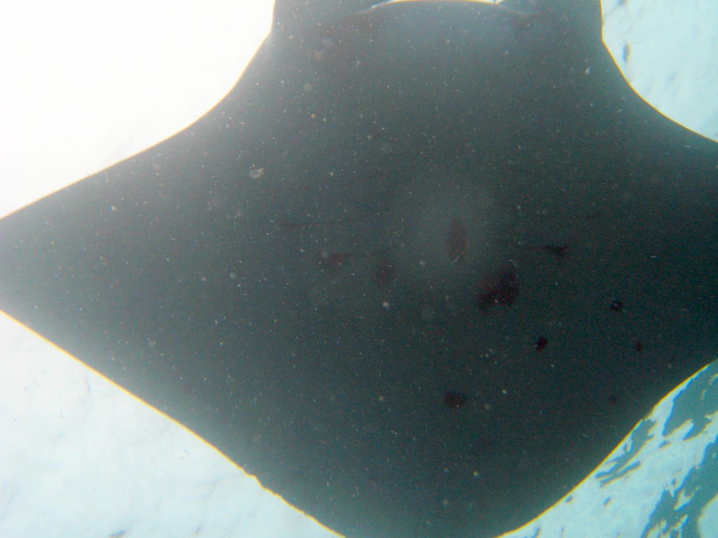 7b74d646-1d03-4408-ac81-5dce39e1b729