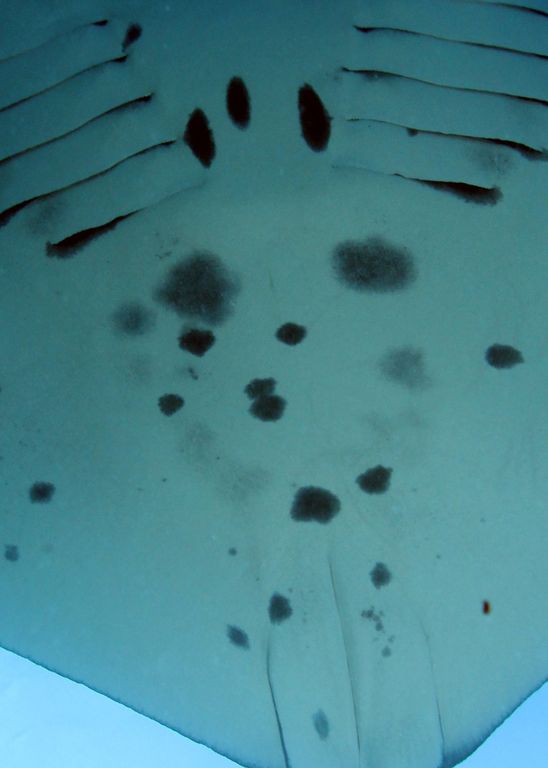 73299176-3b2c-474e-ac8e-3e8189161b6c