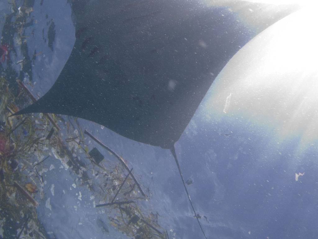 ae6550f4-5db9-40ef-9d50-871d2e3d7bd6