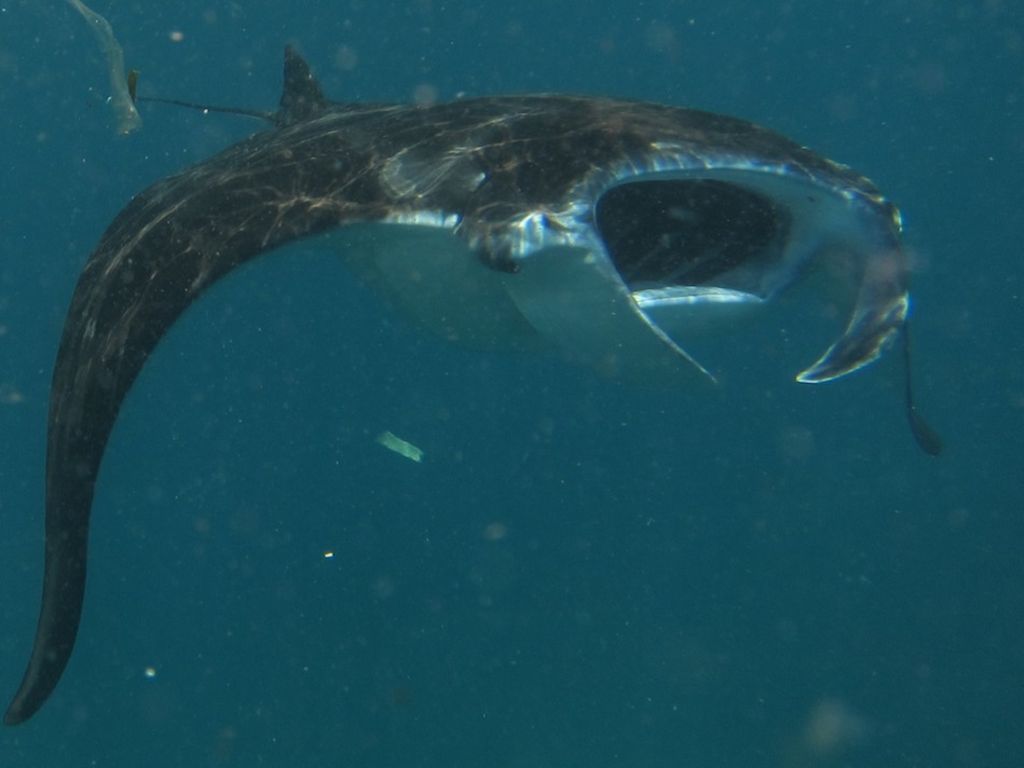 ae6550f4-5db9-40ef-9d50-871d2e3d7bd6