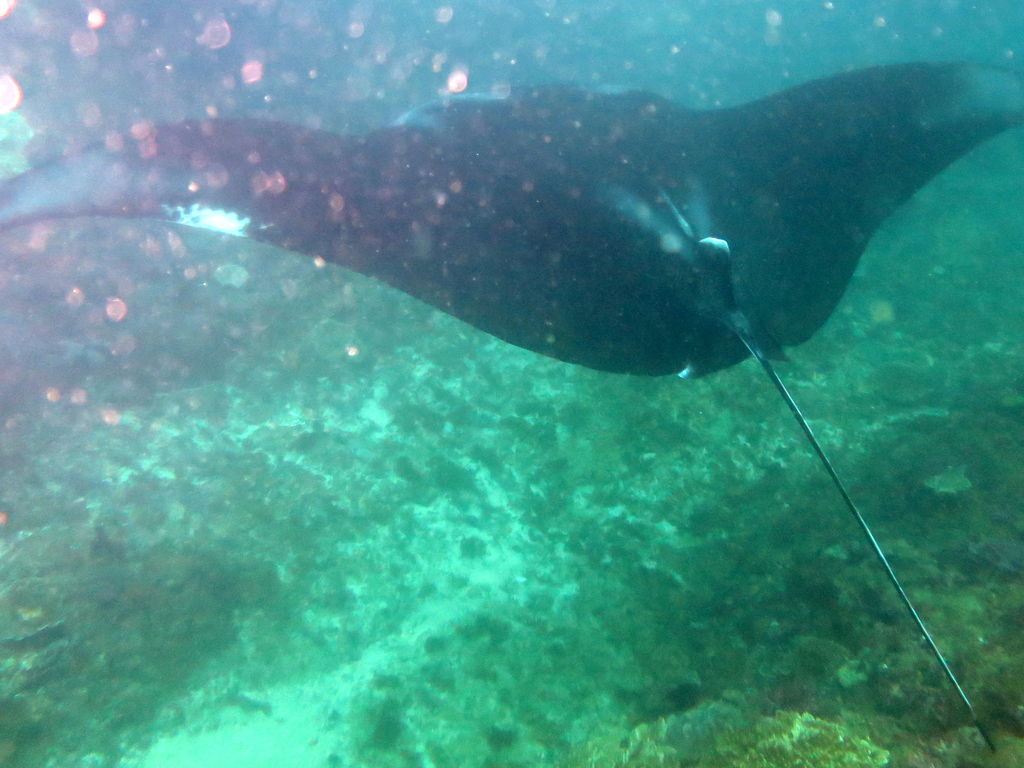 6d3a3e20-e26b-4d6f-a464-753588c3d729