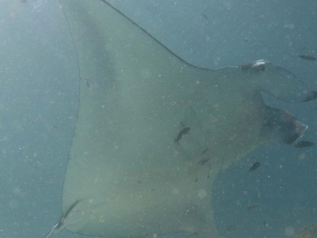 87f35b68-fa77-40ed-8ea5-de9f17962e51