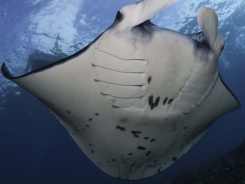 3961db27-b625-4ff2-bc29-3760aac24d72