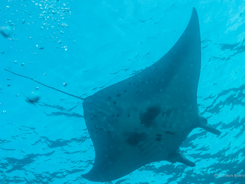 ffafd9c6-aeca-4c64-b453-2a5fa747fb62