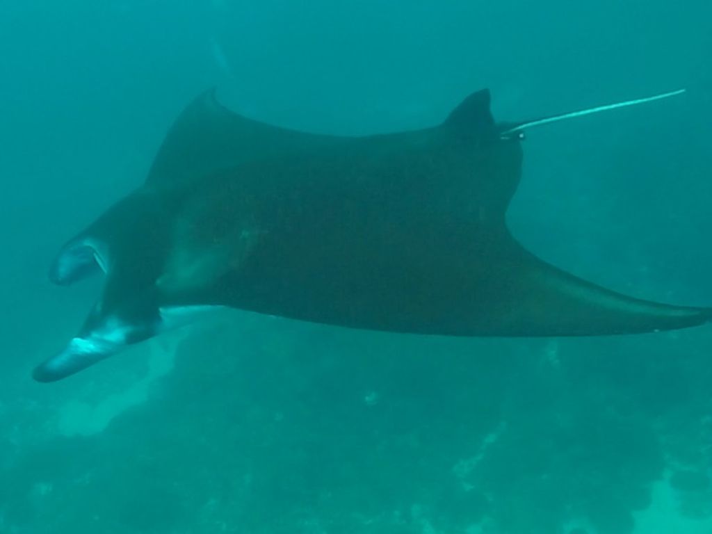 4b456611-3e03-46d5-95d5-271d7c497447