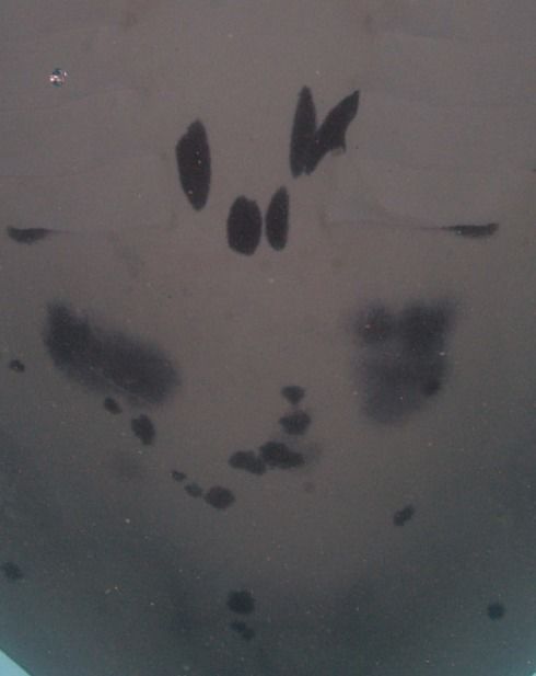 ac6a9db6-243d-4b59-a60d-3abe3f43a363