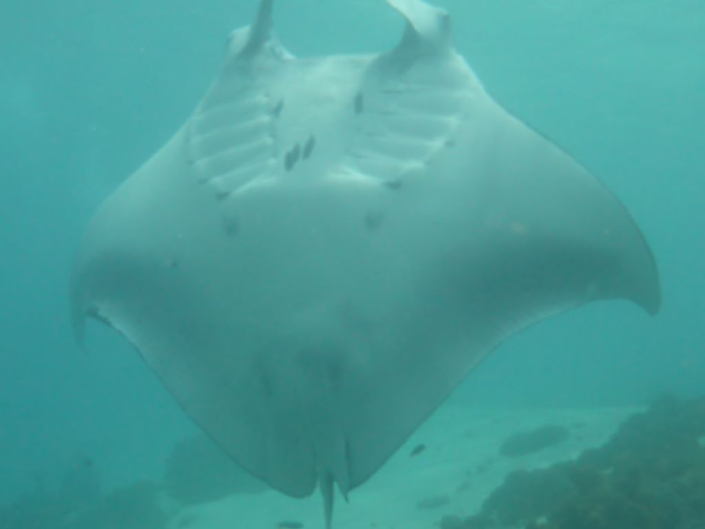 b42a6bb2-486c-442c-98be-010f5362b772