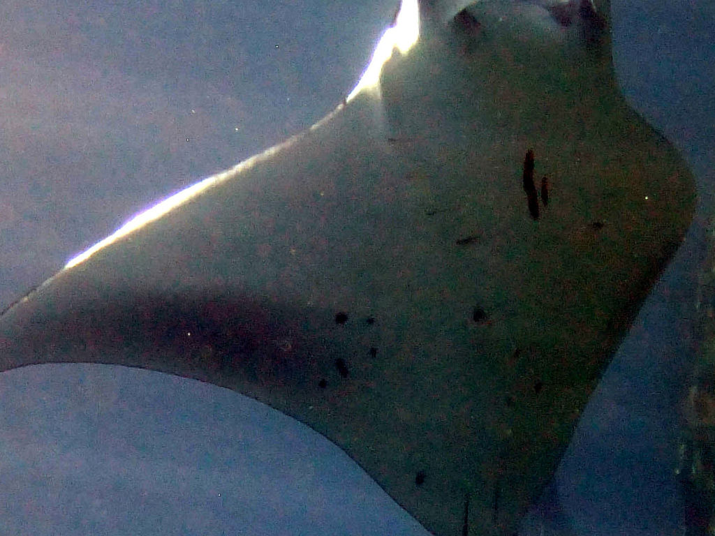 b4c3275c-51ce-4027-9d8c-fa3a9284da53