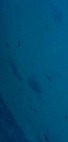 63eb5a72-8192-4081-b8b5-648dabdc5a62