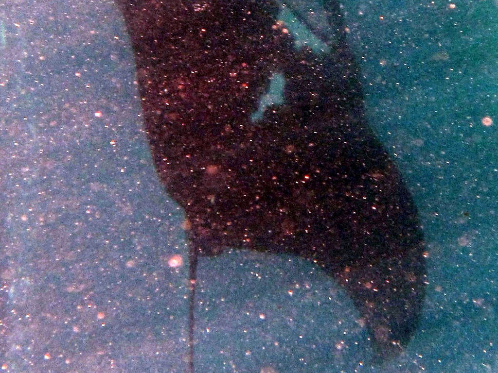 eca5b21f-8e4b-4602-b24c-9c4bb407e847