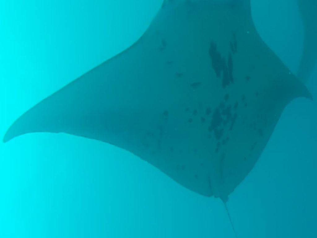 7a748fbb-6221-46b8-b577-514282ecfe09