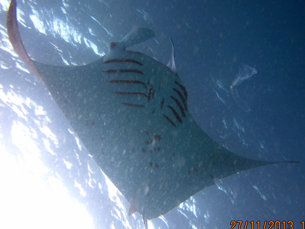 65aaa2d2-c7ed-436e-9891-2e423b8a2b53