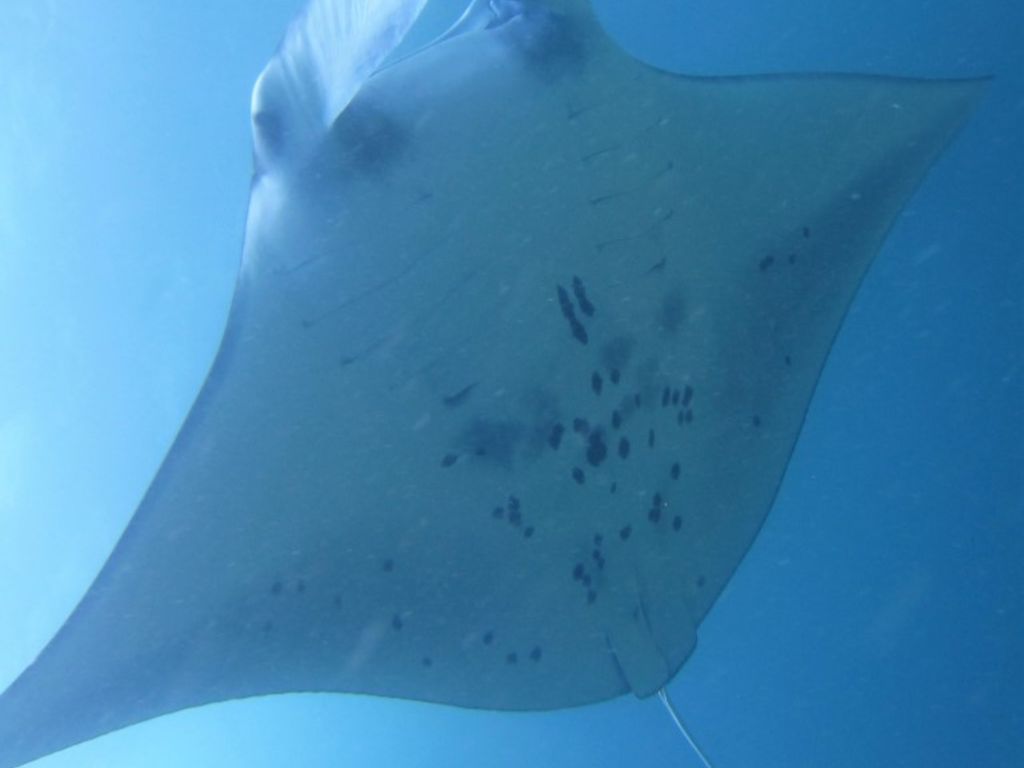 b1da55e3-f955-404f-a43d-af198206f392