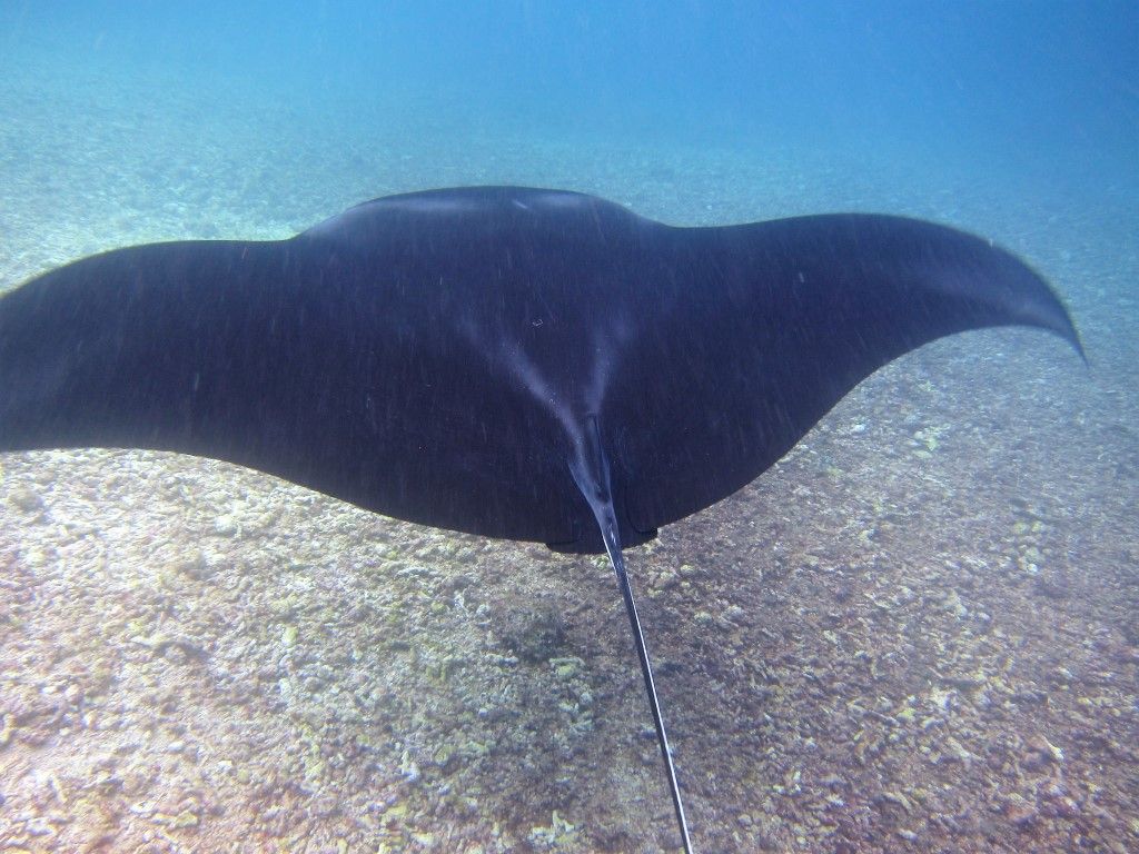 b1da55e3-f955-404f-a43d-af198206f392