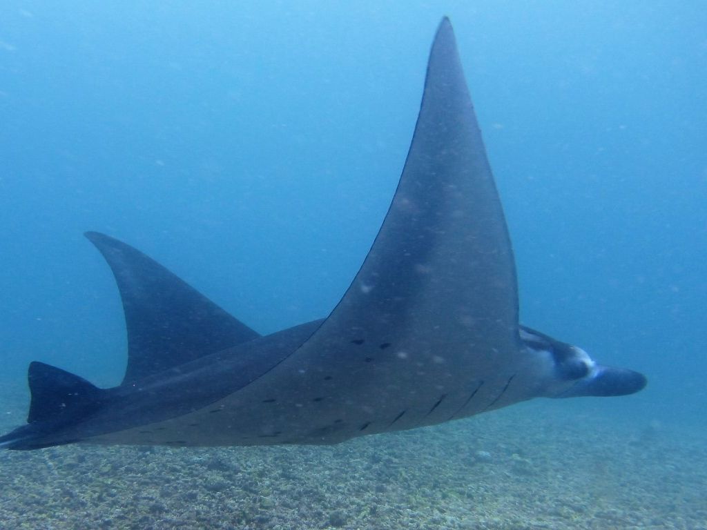 b1da55e3-f955-404f-a43d-af198206f392