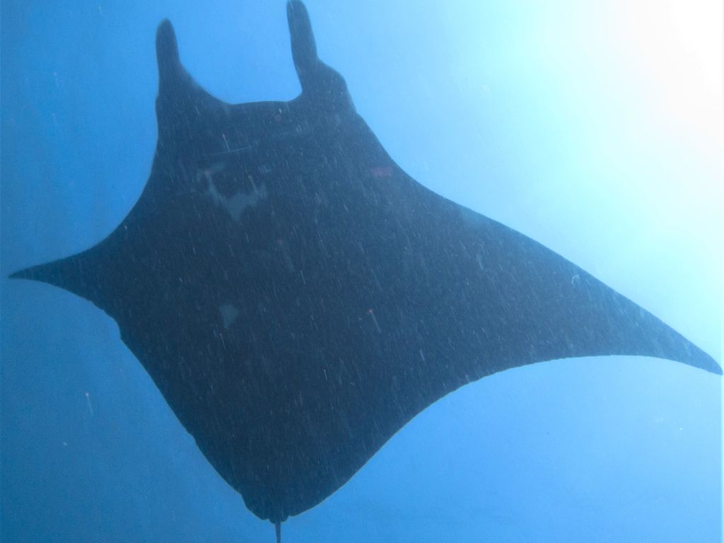 8614f9f9-cb58-4831-b72a-85d27e598525