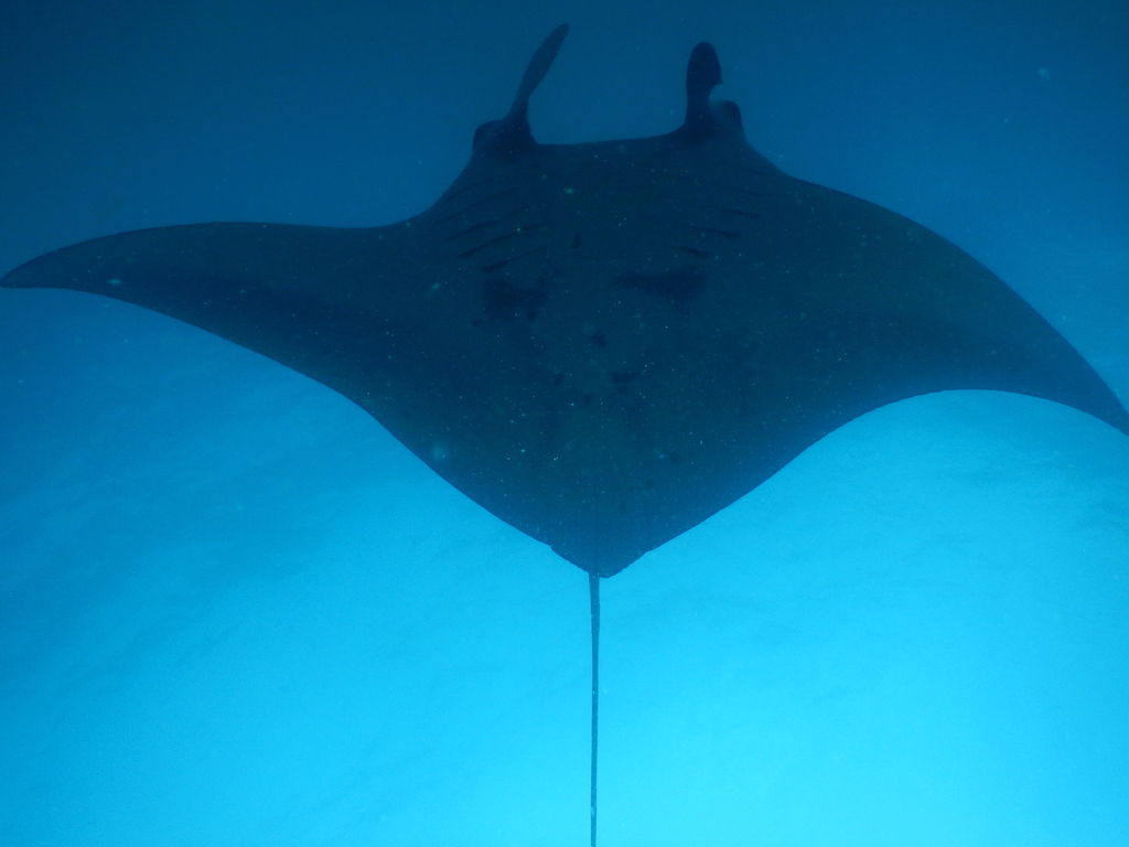 afd5dc24-bc56-4d9c-8c63-bf2653ffbda7