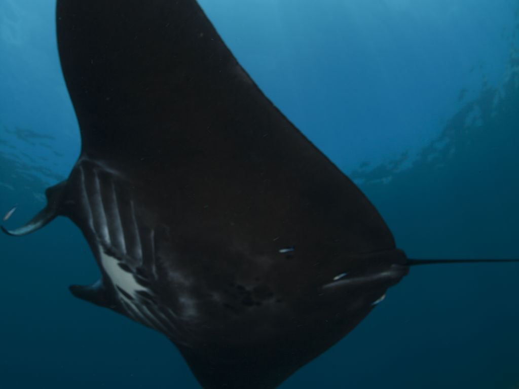 da6092d6-4d9e-4e24-843e-be12788f43c4