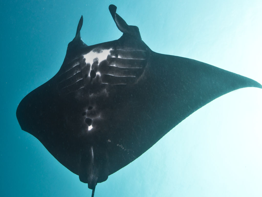 5cbf090b-7622-48ac-bdbd-6444e603cfda