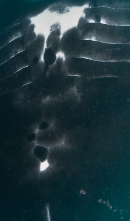 5cbf090b-7622-48ac-bdbd-6444e603cfda