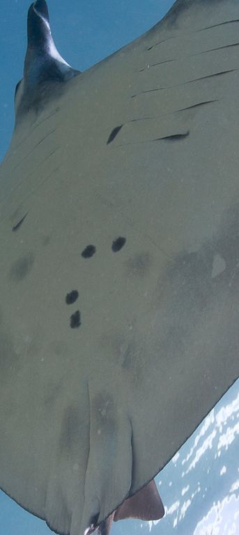 0e19a016-e72c-4a11-99fd-c98338aa3425