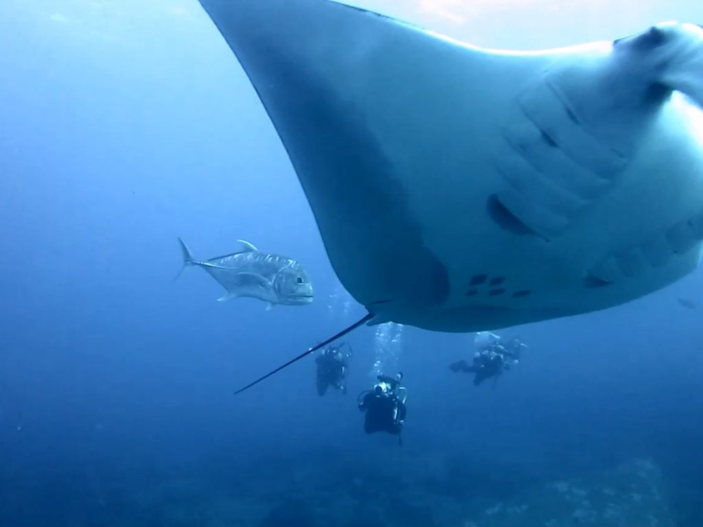 b4da6224-0240-4d7b-90cb-6973a1531b65