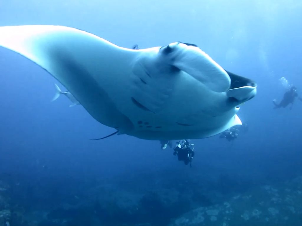 b4da6224-0240-4d7b-90cb-6973a1531b65