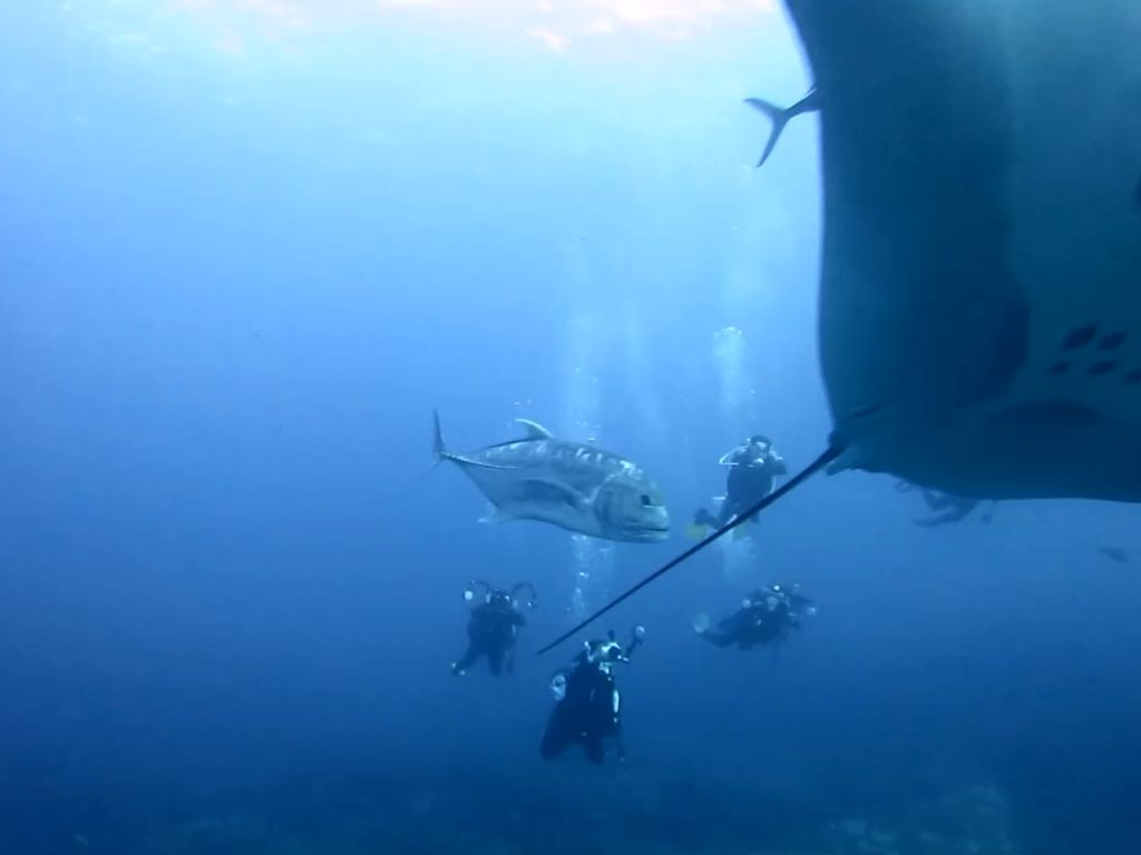 b4da6224-0240-4d7b-90cb-6973a1531b65