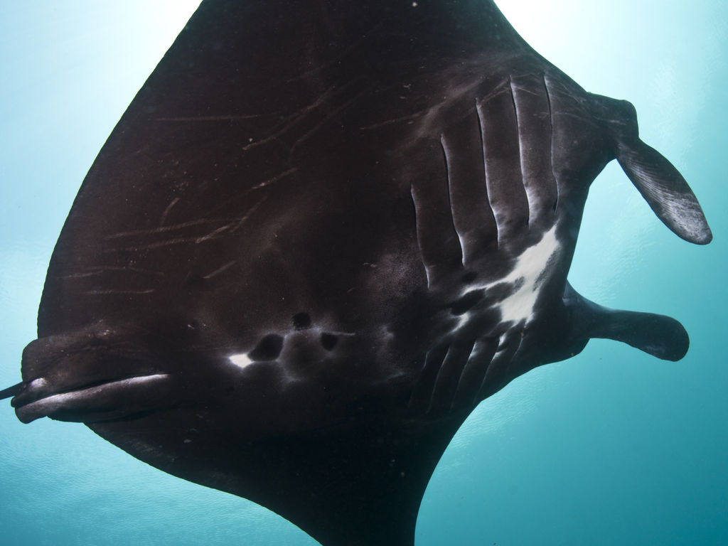 5cbf090b-7622-48ac-bdbd-6444e603cfda