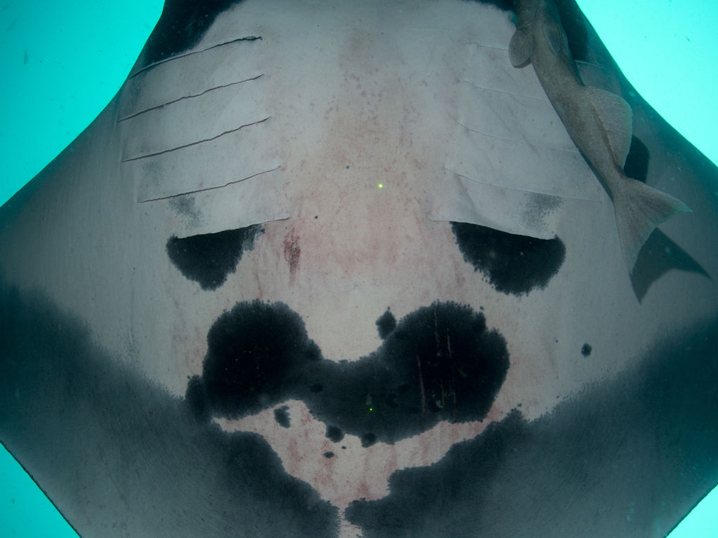 6b30fcee-fa4e-48c4-9510-508e6e59cf2f