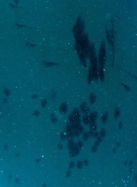 7a748fbb-6221-46b8-b577-514282ecfe09