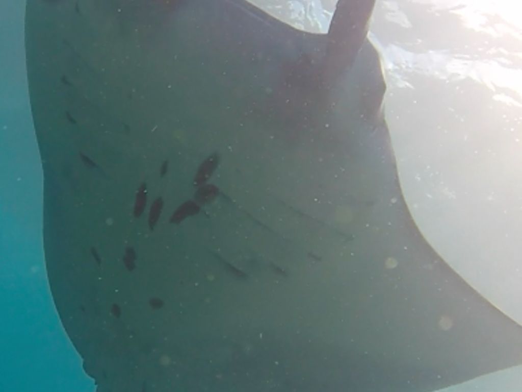 95c5b764-5171-4079-9eee-a03fc3718363