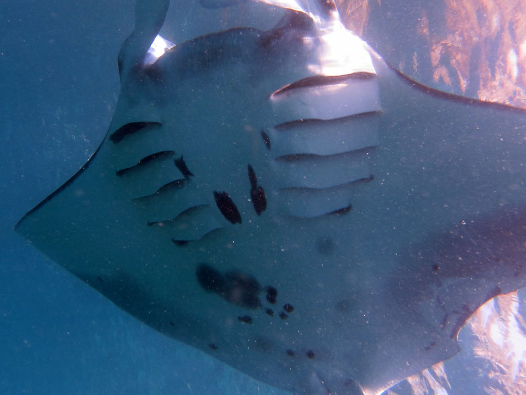 40f8c40d-c500-475d-b070-53b08654fe51