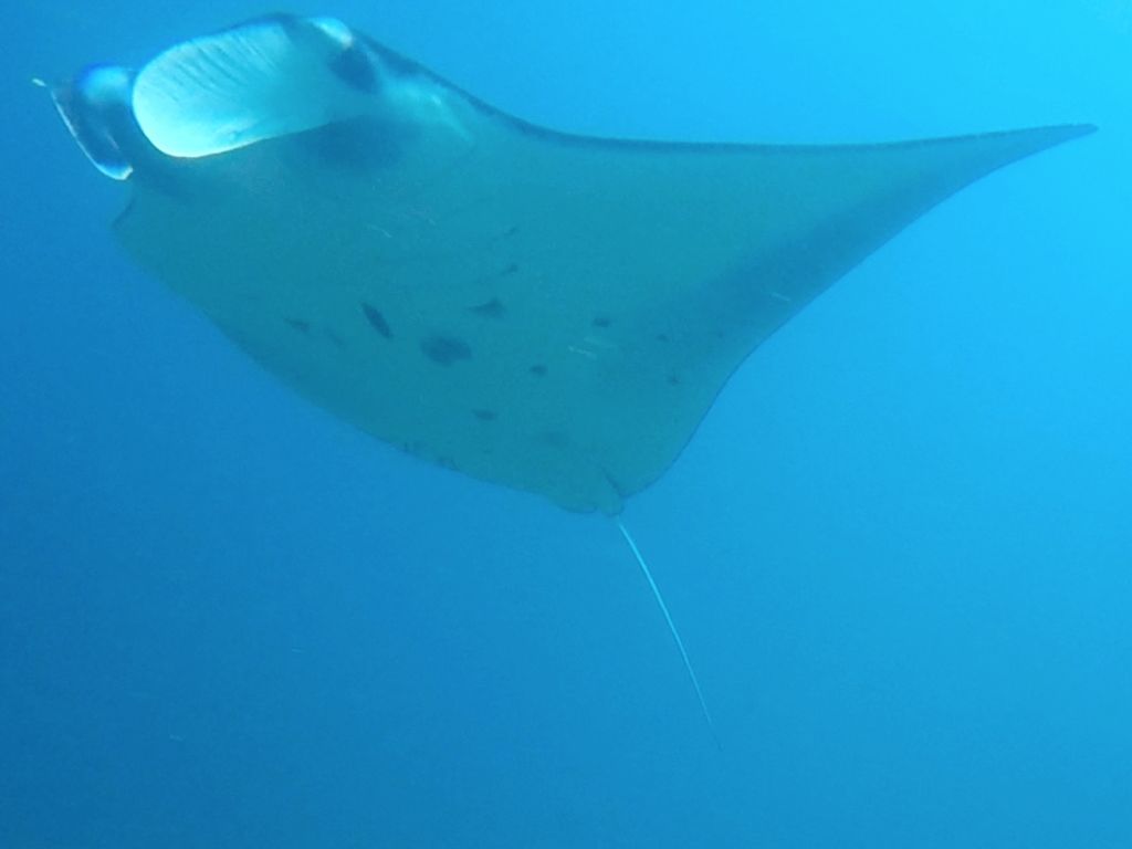 7b74d646-1d03-4408-ac81-5dce39e1b729