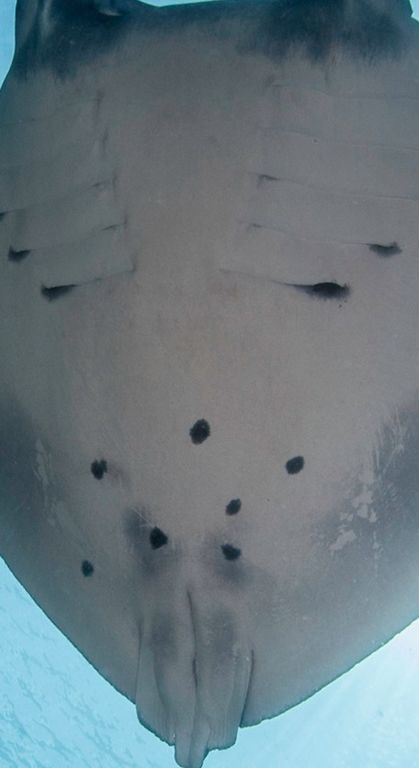 3a2d25fb-101e-41b1-b82c-ab54ab58f82d