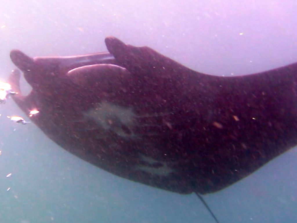 c6c475fd-4a3c-4963-b143-4791fe1be909