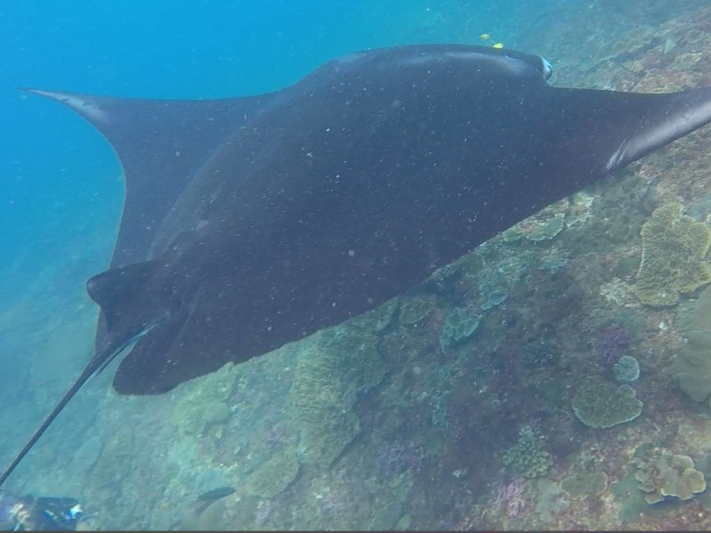 5558d541-6217-47dc-903f-38d889536ee7