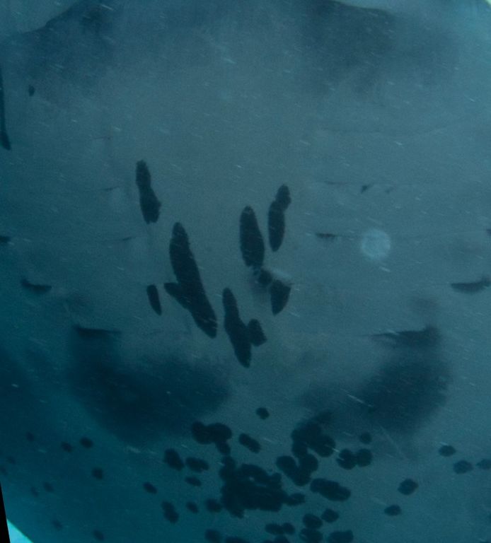 2609c98a-5fcb-405b-9f2a-2da9faafffa3