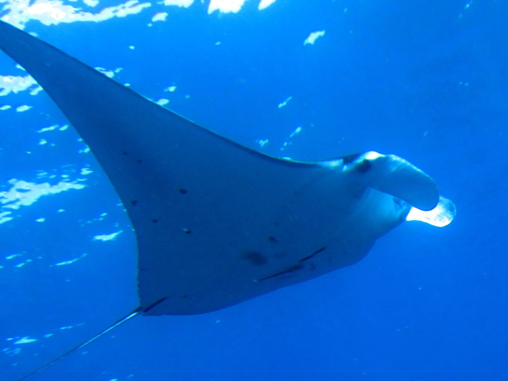 9709459a-d3de-4ab9-825f-c08ae55c961c