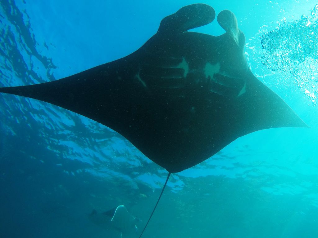 89689e31-0fa4-47d2-884c-164808d236c0