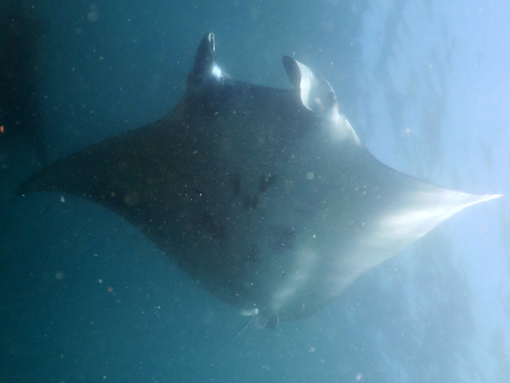 ac6a9db6-243d-4b59-a60d-3abe3f43a363