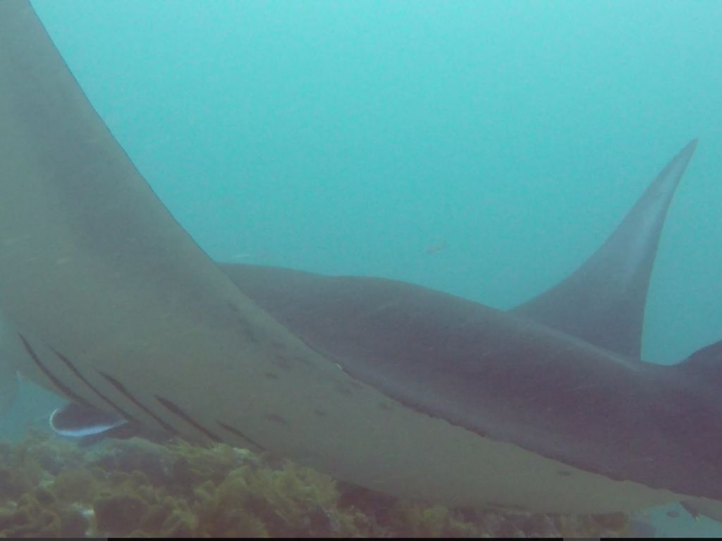 3961db27-b625-4ff2-bc29-3760aac24d72