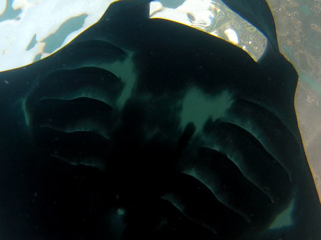 89689e31-0fa4-47d2-884c-164808d236c0